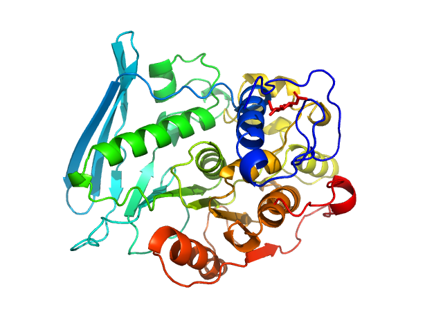 PDB (PROTEIN DATA BANK) model