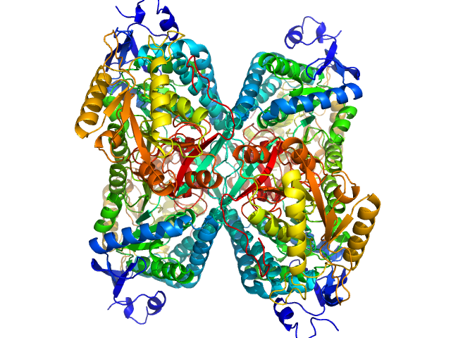 Alpha-aminoadipic semialdehyde dehydrogenase PDB (PROTEIN DATA BANK) model