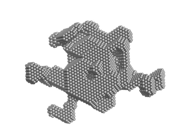 Nucleolar RNA helicase 2 fragment 186-783 DAMMIF model