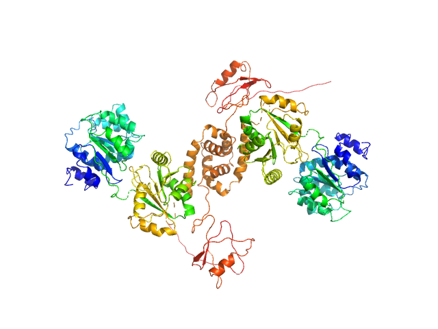Nucleolar RNA helicase 2 fragment 186-710 SWISSMODEL model