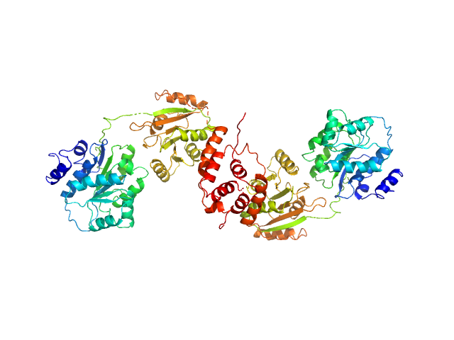 Nucleolar RNA helicase 2 fragment 186-620 SWISSMODEL model