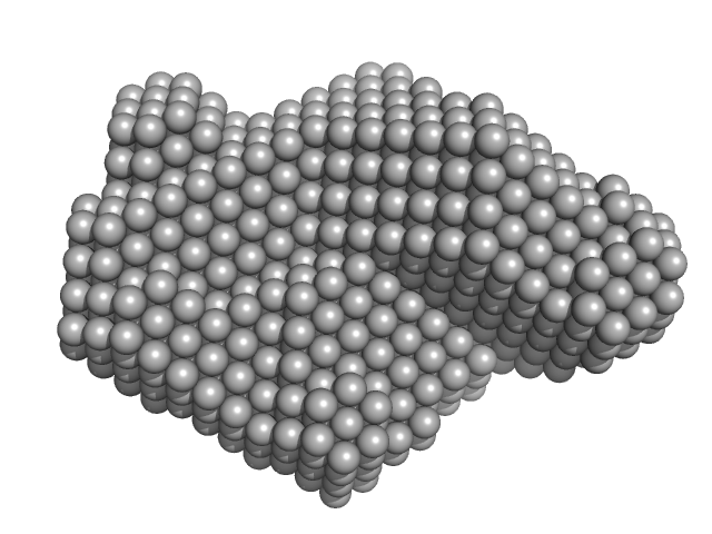 Protein disulfide-isomerase Ribonuclease pancreatic DAMMIF model