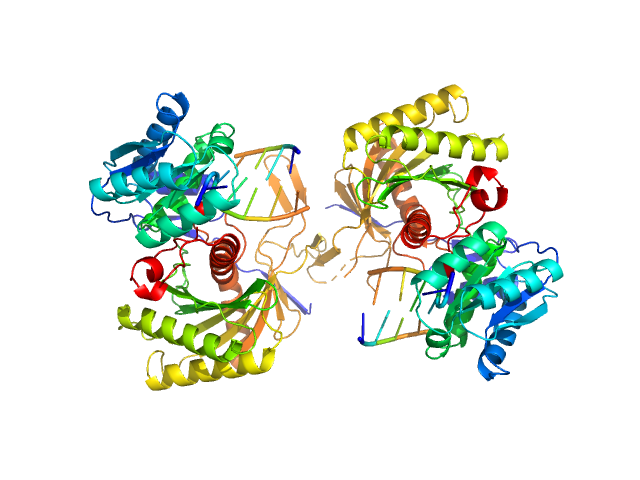 Piwi protein AF_1318 5'-phosphorilated 14-mer DNA oligoduplex PDB (PROTEIN DATA BANK) model