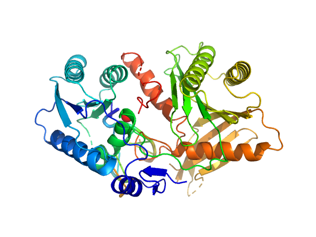 PDB (PROTEIN DATA BANK) model