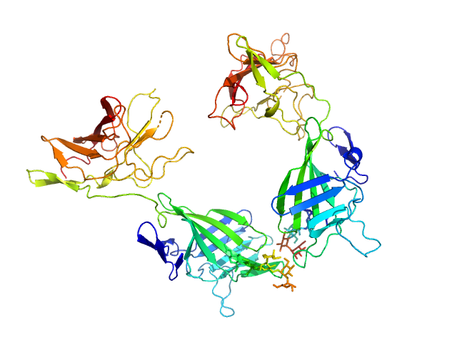 MULTIFOXS model