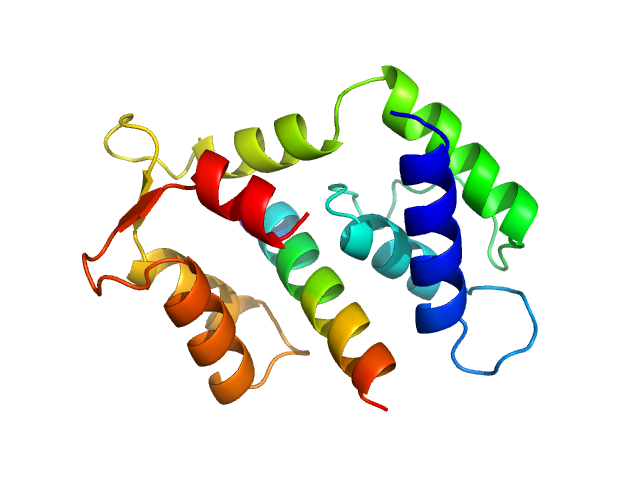 Myosin essential light chain 2 Myosin A PYMOL model