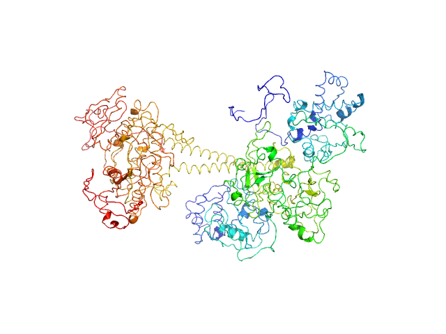 BILBOMD model