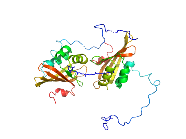 BILBOMD model