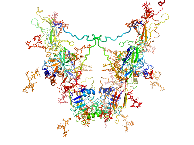 SASDHE2 – Type 1 insulin-like growth factor receptor ectodomains (IGF-1RΔβ)