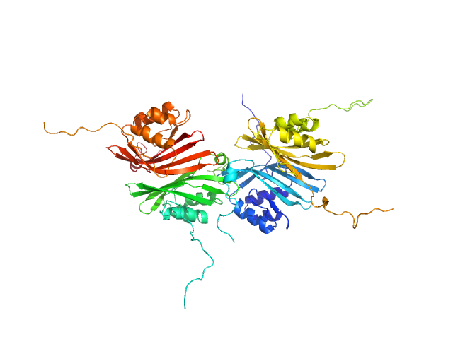 BILBOMD model