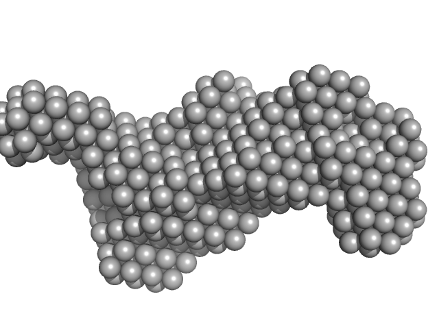 Plasmodium falciparum Heat shock protein 90 N-terminal and Middle domains DAMMIF model