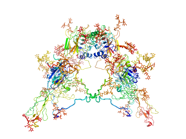 Insulin receptor BUNCH model