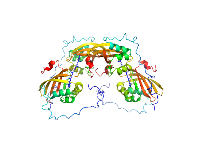 BILBOMD model