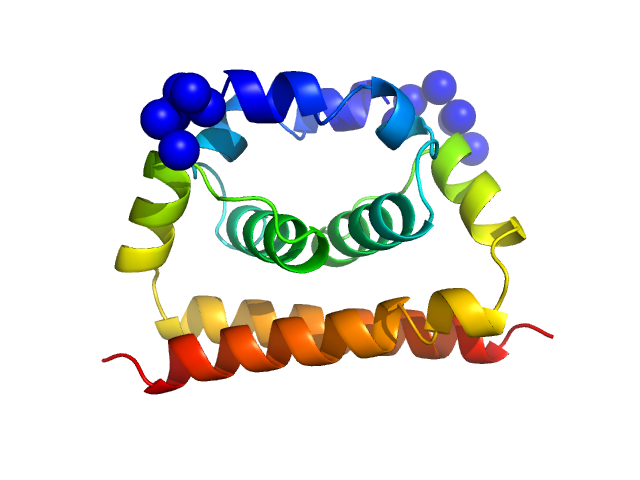 Dengue Virus 2 New Guinea C CORAL model