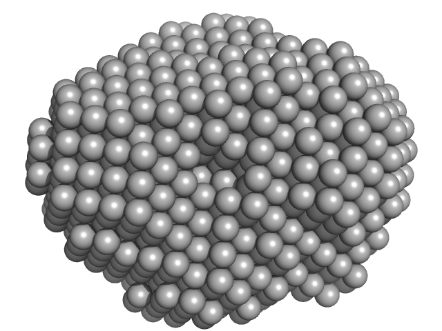 McoA evolved variant 2F4 (Periplasmic cell division protein (SufI)) DAMMIF model