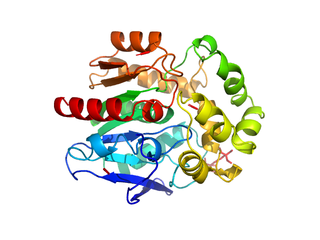 PDB (PROTEIN DATA BANK) model