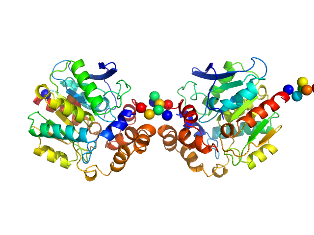 Haloalkane dehalogenase variant DhaA115 - dimeric fraction CORAL model