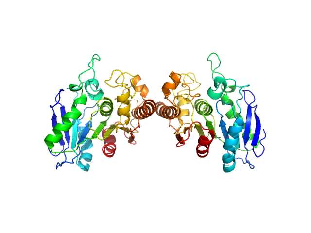 PDB (PROTEIN DATA BANK) model