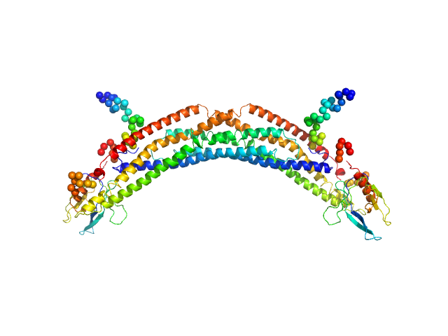 Adaptor protein, phosphotyrosine interaction, pleckstrin homology domain, and leucine zipper-containing protein 2 BUNCH model