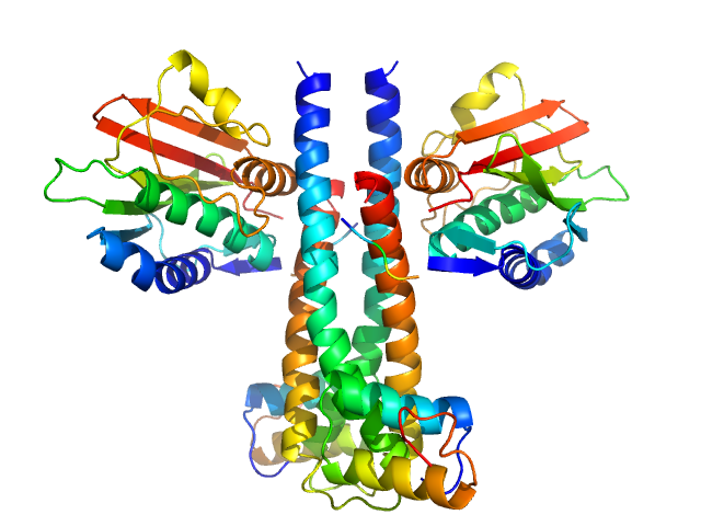 Sporulation kinase A Sporulation inhibitor sda SASREF model