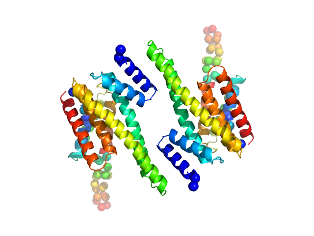 14-3-3 protein beta/alpha BUNCH model