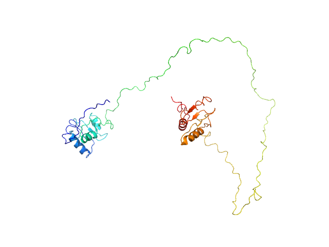 BILBOMD model