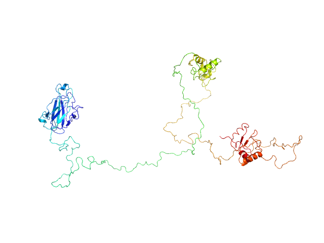 BILBOMD model