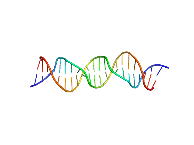 24-mer double strand DNA from the GATA promoter PDB (PROTEIN DATA BANK) model