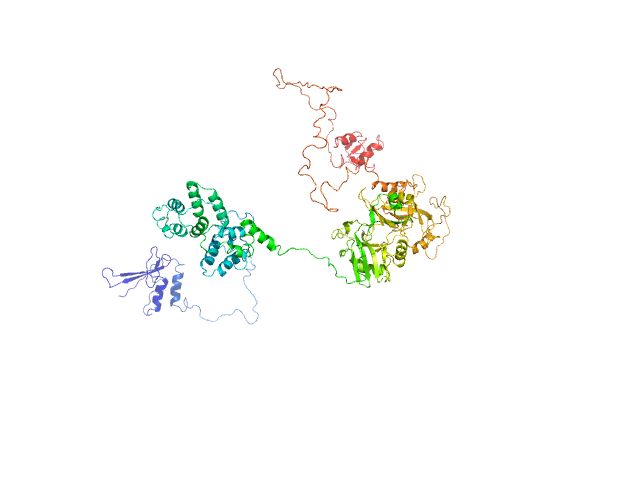 BILBOMD model