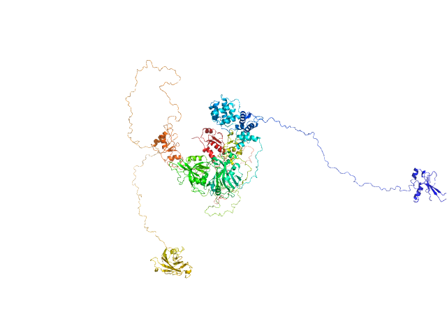 BILBOMD model