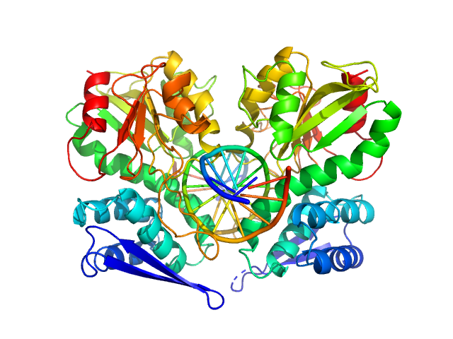 Type-2 restriction enzyme AgeI Cognate DNA oligoduplex with 5'-T overhang PDB (PROTEIN DATA BANK) model