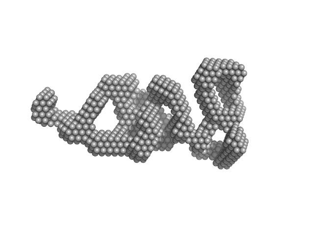 Vitamin K-dependent protein C DAMMIF model
