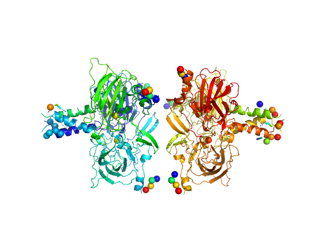 SUN domain-containing protein 1 Nesprin-1 CORAL model