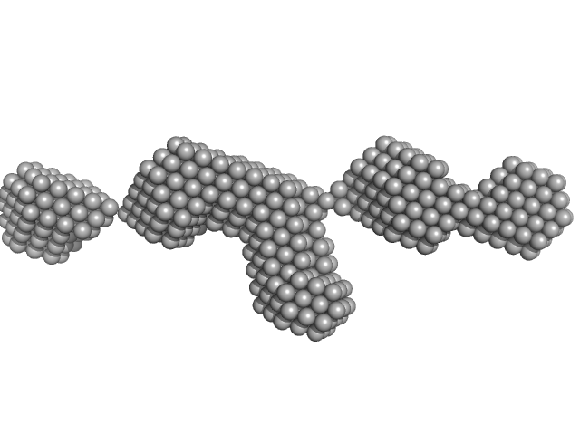 Metallothionein-like protein 2 DAMMIF model