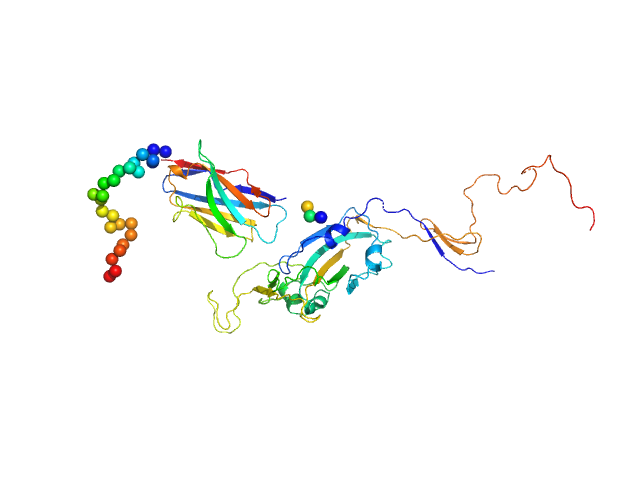 Synthetic nanobody Sybody 23 Spike glycoprotein (ACE2 receptor binding domain) CORAL model