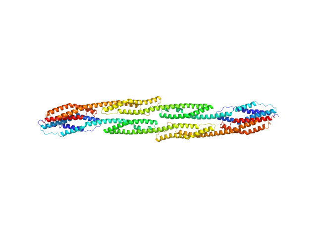 Rod domain of α-actinin-2 PDB (PROTEIN DATA BANK) model