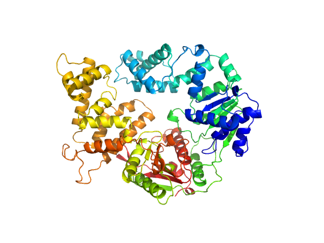 ATP-dependent DNA helicase UvrD1 MODELLER model