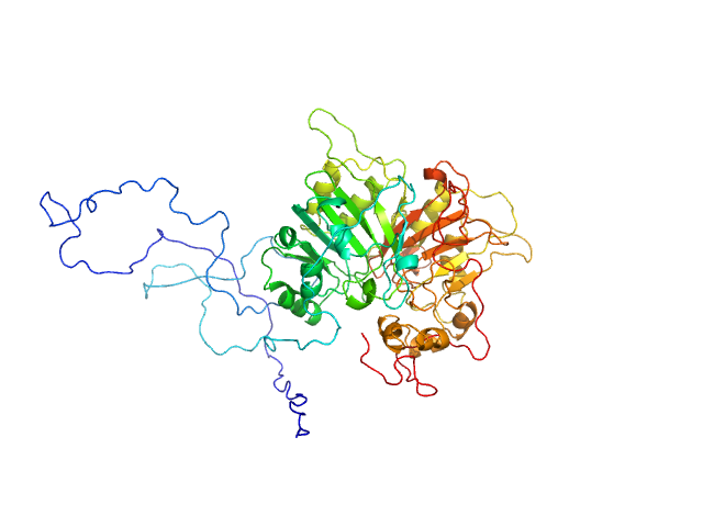 BILBOMD model