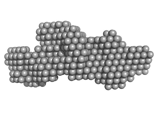 Tetanus toxin (C467S) DAMMIN model