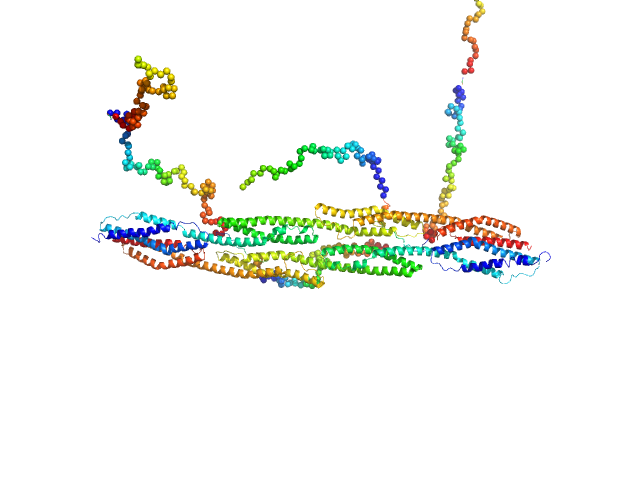 Rod domain of α-actinin-2 Δ91 construct of FATZ-1 (alias myozenin-1 or calsarcin-2) CORAL model