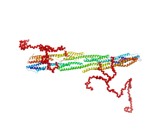 Rod domain of α-actinin-2 Δ91 construct of FATZ-1 (alias myozenin-1 or calsarcin-2) EOM/RANCH model