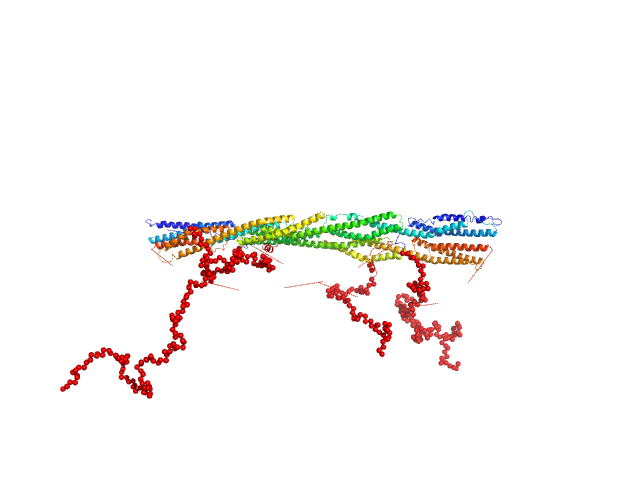 Rod domain of α-actinin-2 Δ91 construct of FATZ-1 (alias myozenin-1 or calsarcin-2) EOM/RANCH model