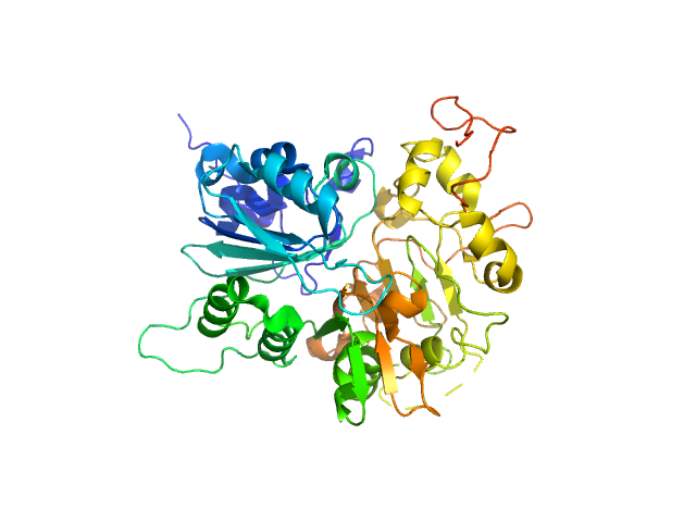 PDB (PROTEIN DATA BANK) model