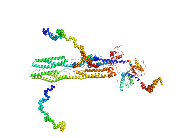 Δ91 construct of FATZ-1 (alias myozenin-1 or calsarcin-2) Half dimer of α-actinin-2 CORAL model