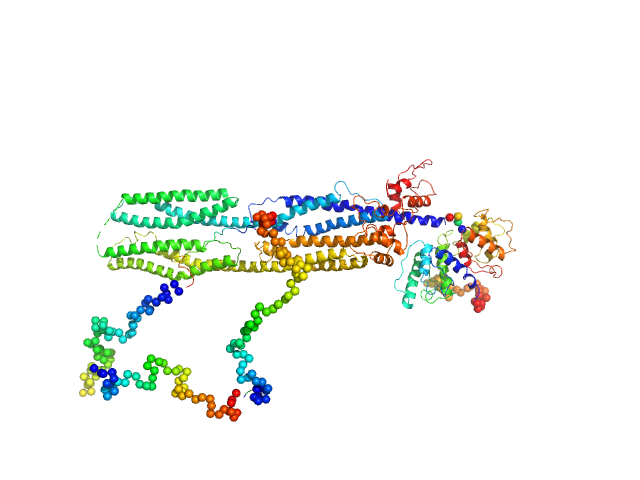 Δ91 construct of FATZ-1 (alias myozenin-1 or calsarcin-2) Half dimer of α-actinin-2 CORAL model