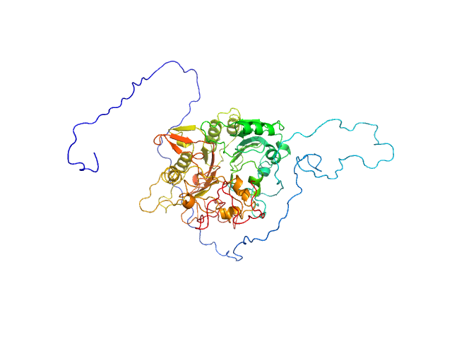 BILBOMD model