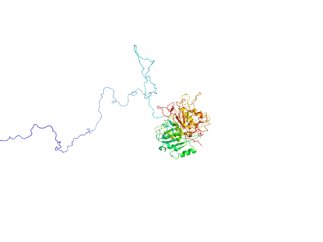 Tyrosyl-DNA phosphodiesterase 1 (dephosphorylated) BILBOMD model