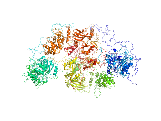 BILBOMD model