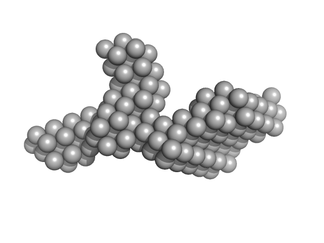 Primer Binding Site-Segment DAMMIF model