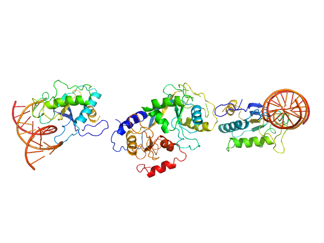 cognate hemimethylated 12-bp oligoduplex 5-methylcytosine-specific restriction enzyme A SASREF model